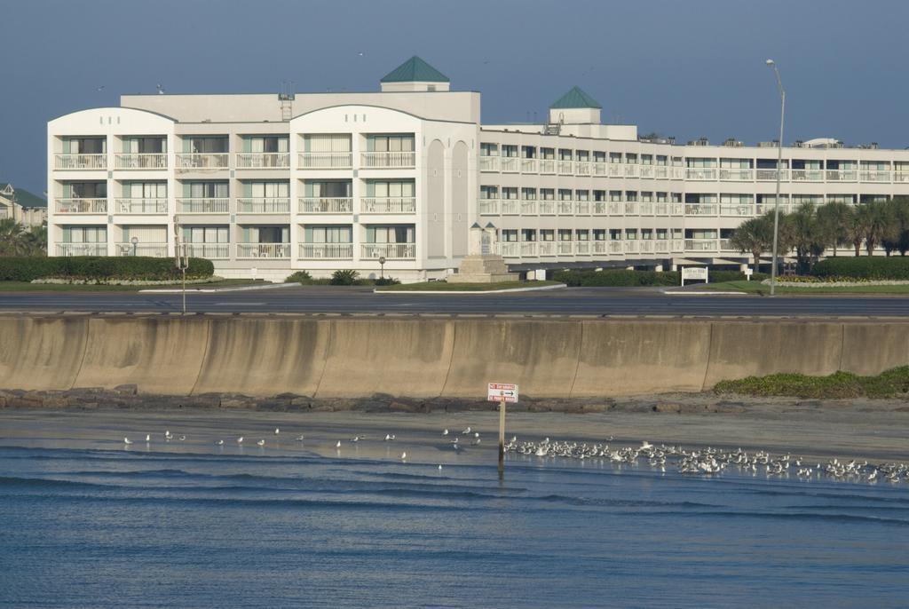 Casa Del Mar Beachfront Suites Galveston Eksteriør billede