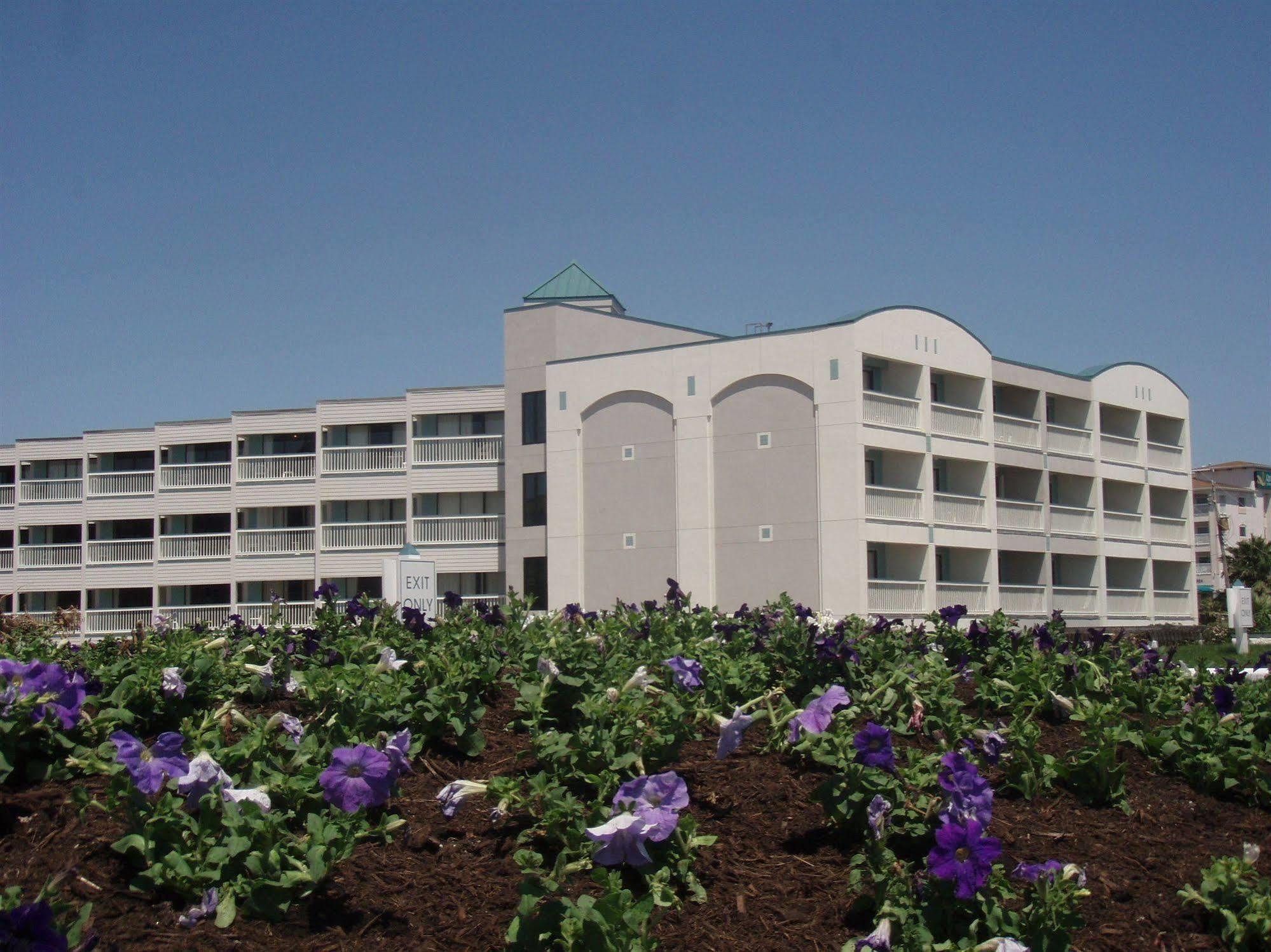 Casa Del Mar Beachfront Suites Galveston Eksteriør billede